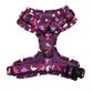 Fuchsia Fossils Adjustable Harness