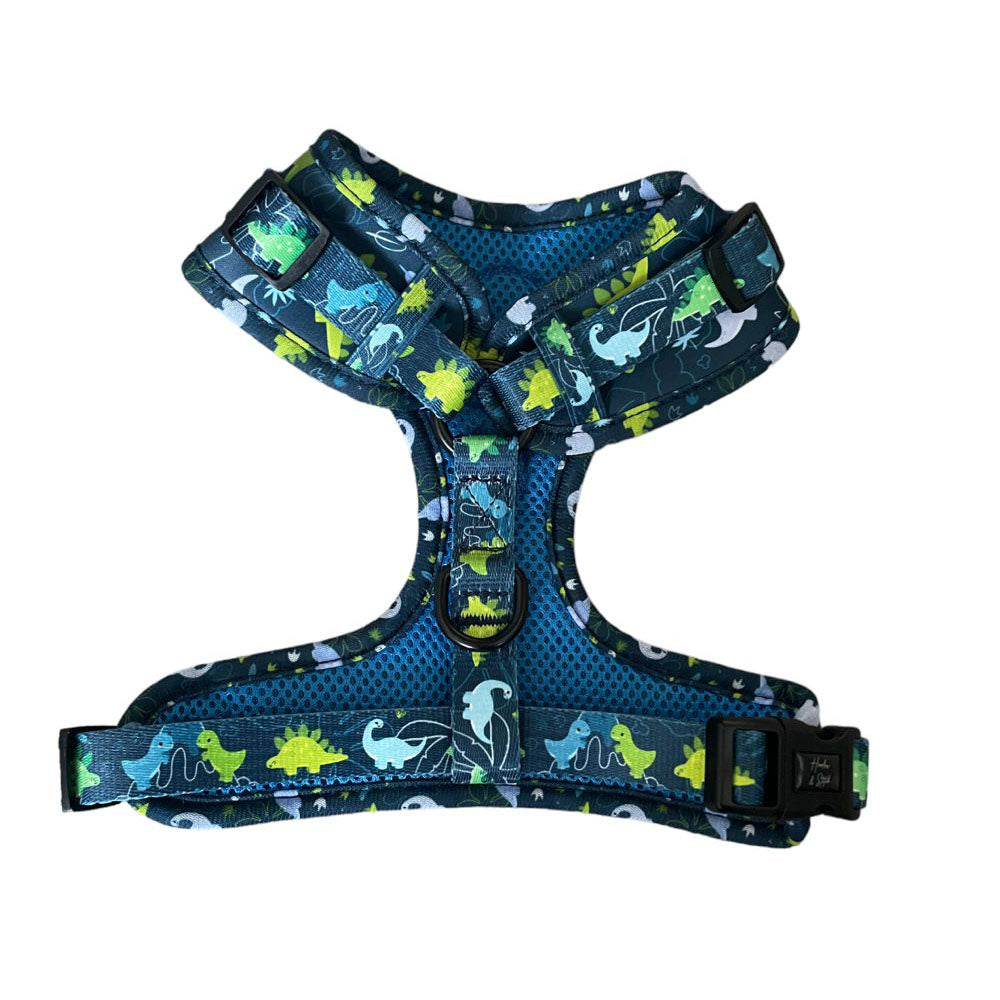 Ruff 2025 tuff harness